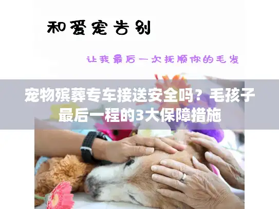 宠物殡葬专车接送安全吗？毛孩子最后一程的3大保障措施