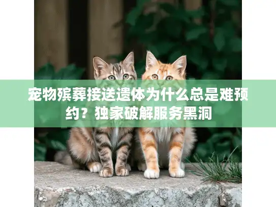 宠物殡葬接送遗体为什么总是难预约？独家破解服务黑洞