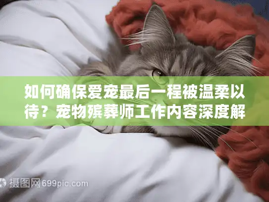 如何确保爱宠最后一程被温柔以待？宠物殡葬师工作内容深度解析