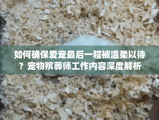 如何确保爱宠最后一程被温柔以待？宠物殡葬师工作内容深度解析