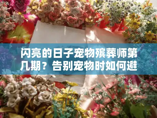 闪亮的日子宠物殡葬师第几期？告别宠物时如何避开隐形陷阱和情感雷区