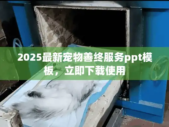 2025最新宠物善终服务ppt模板，立即下载使用