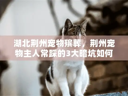 湖北荆州宠物殡葬，荆州宠物主人常踩的3大暗坑如何避开？