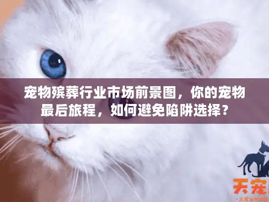 宠物殡葬行业市场前景图，你的宠物最后旅程，如何避免陷阱选择？