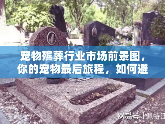 宠物殡葬行业市场前景图，你的宠物最后旅程，如何避免陷阱选择？