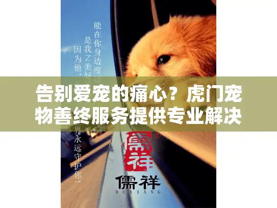 告别爱宠的痛心？虎门宠物善终服务提供专业解决方案