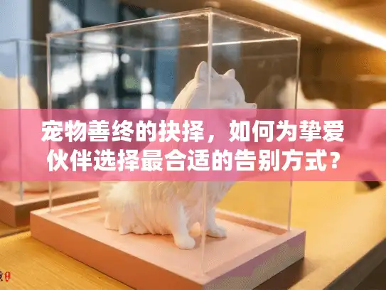 宠物善终的抉择，如何为挚爱伙伴选择最合适的告别方式？