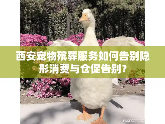 西安宠物殡葬服务如何告别隐形消费与仓促告别？