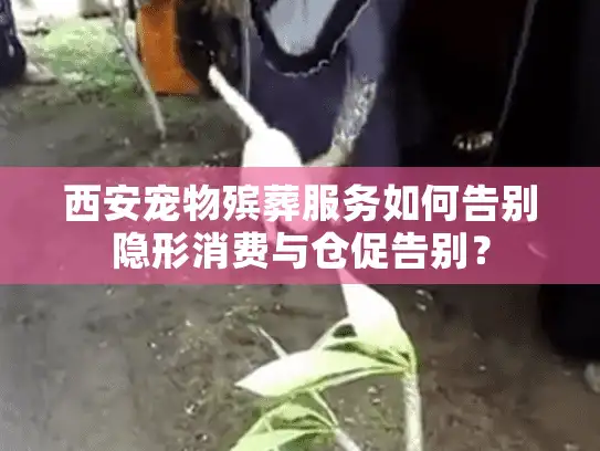 西安宠物殡葬服务如何告别隐形消费与仓促告别？