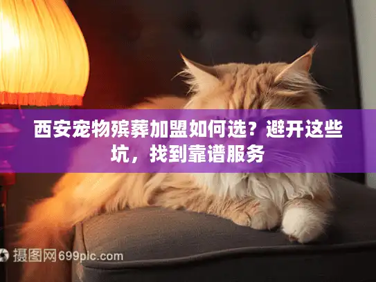 西安宠物殡葬加盟如何选？避开这些坑，找到靠谱服务