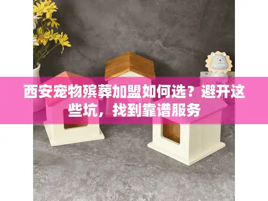 西安宠物殡葬加盟如何选？避开这些坑，找到靠谱服务