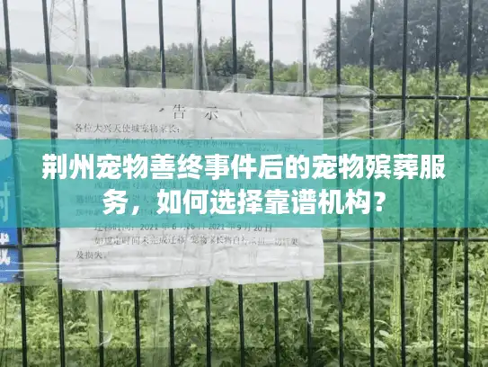 荆州宠物善终事件后的宠物殡葬服务，如何选择靠谱机构？