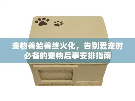 宠物善始善终火化，告别爱宠时必备的宠物后事安排指南
