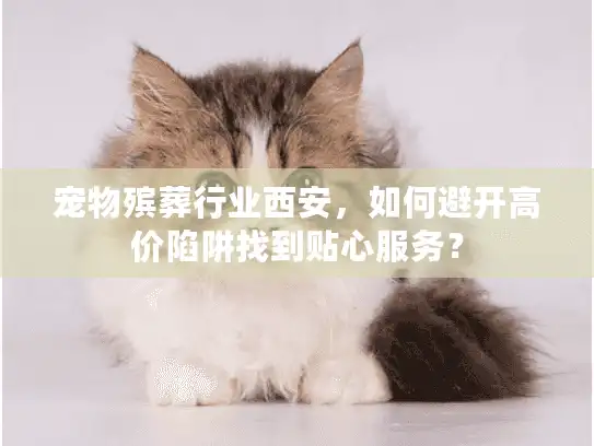 宠物殡葬行业西安，如何避开高价陷阱找到贴心服务？