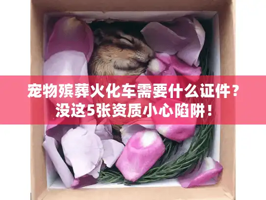 宠物殡葬火化车需要什么证件？没这5张资质小心陷阱！
