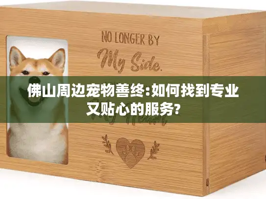 佛山周边宠物善终:如何找到专业又贴心的服务?