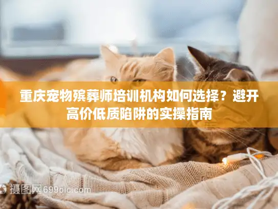 重庆宠物殡葬师培训机构如何选择？避开高价低质陷阱的实操指南