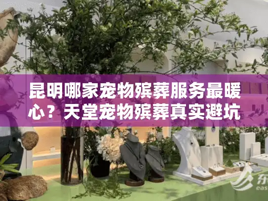 昆明哪家宠物殡葬服务最暖心？天堂宠物殡葬真实避坑指南