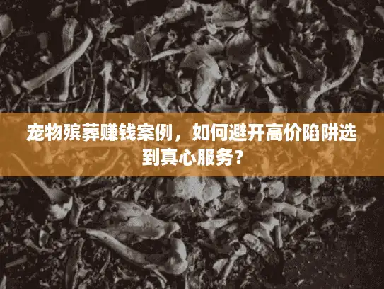 宠物殡葬赚钱案例，如何避开高价陷阱选到真心服务？