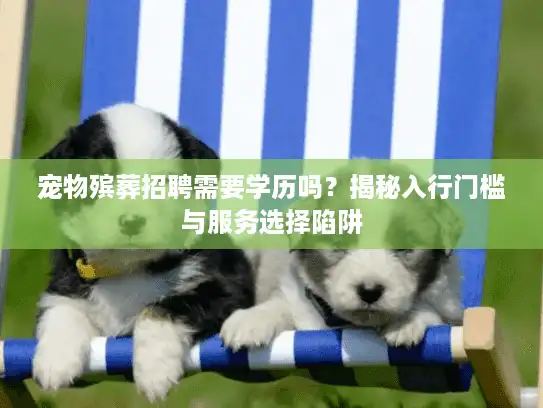 宠物殡葬招聘需要学历吗？揭秘入行门槛与服务选择陷阱