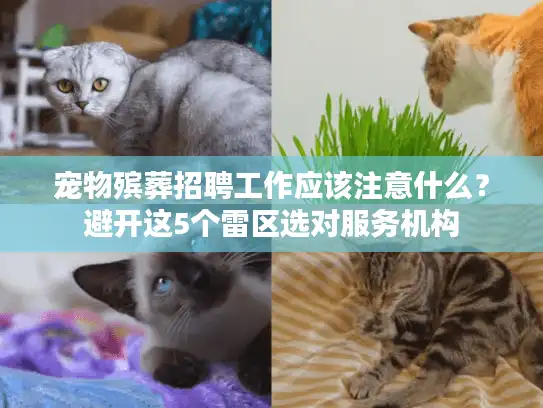 宠物殡葬招聘工作应该注意什么？避开这5个雷区选对服务机构