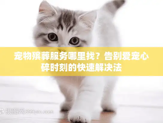 宠物殡葬服务哪里找？告别爱宠心碎时刻的快速解决法