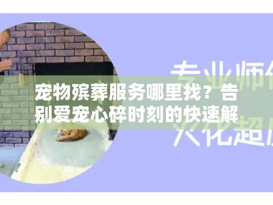 宠物殡葬服务哪里找？告别爱宠心碎时刻的快速解决法