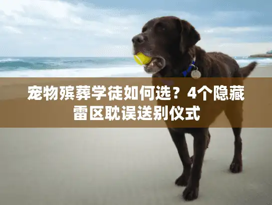 宠物殡葬学徒如何选？4个隐藏雷区耽误送别仪式