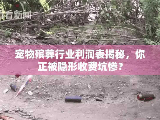 宠物殡葬行业利润表揭秘，你正被隐形收费坑惨？