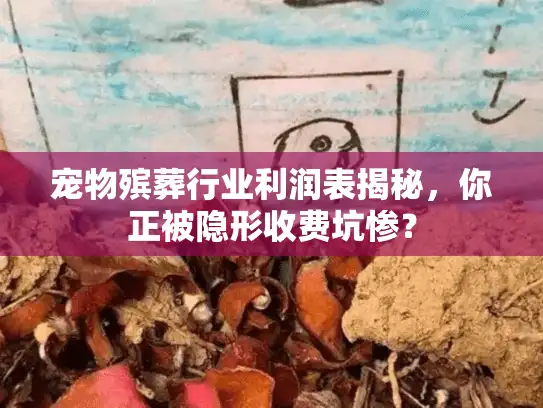 宠物殡葬行业利润表揭秘，你正被隐形收费坑惨？