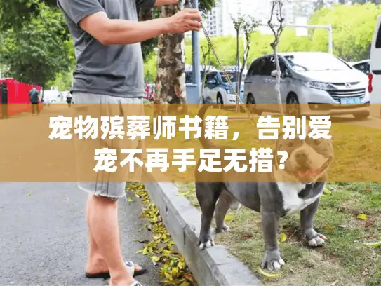 宠物殡葬师书籍，告别爱宠不再手足无措？
