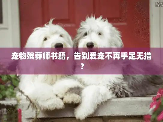 宠物殡葬师书籍，告别爱宠不再手足无措？