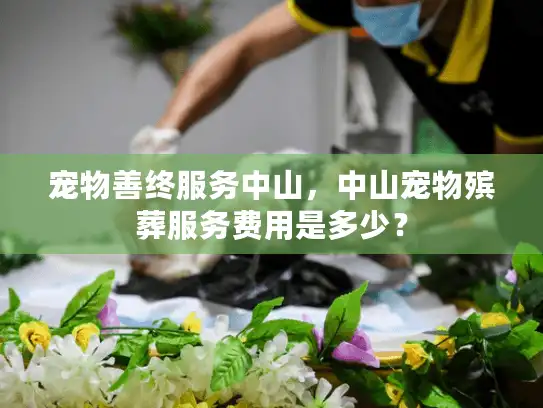 宠物善终服务中山，中山宠物殡葬服务费用是多少？