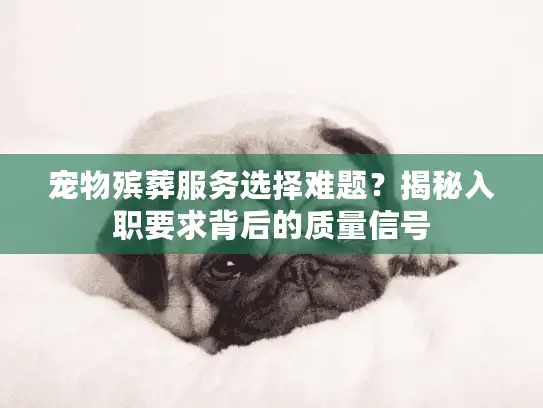 宠物殡葬服务选择难题？揭秘入职要求背后的质量信号