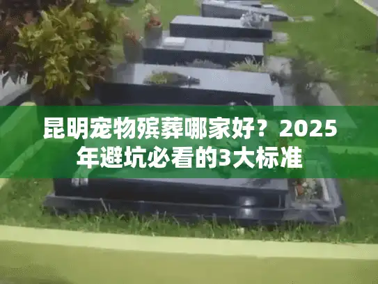 昆明宠物殡葬哪家好？2025年避坑必看的3大标准