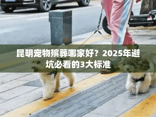 昆明宠物殡葬哪家好？2025年避坑必看的3大标准