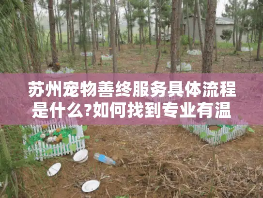 苏州宠物善终服务具体流程是什么?如何找到专业有温度的告别机构