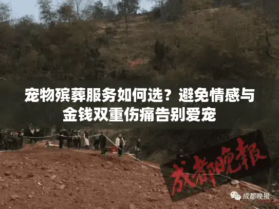 宠物殡葬服务如何选？避免情感与金钱双重伤痛告别爱宠