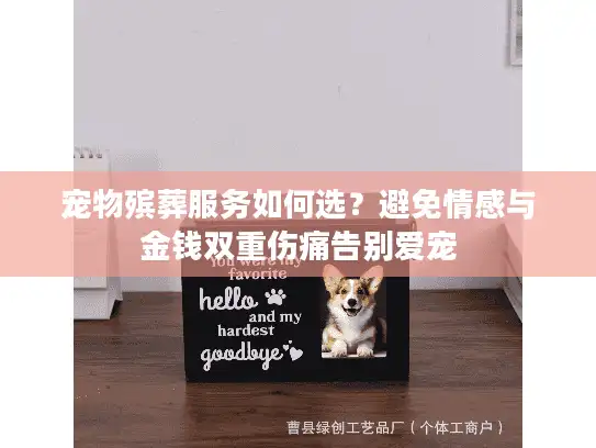宠物殡葬服务如何选？避免情感与金钱双重伤痛告别爱宠