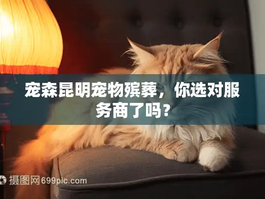 宠森昆明宠物殡葬，你选对服务商了吗？