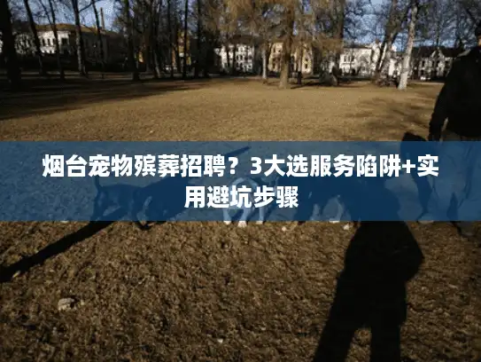 烟台宠物殡葬招聘？3大选服务陷阱+实用避坑步骤