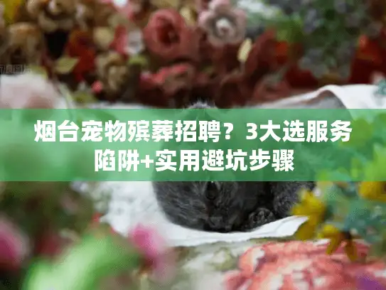 烟台宠物殡葬招聘？3大选服务陷阱+实用避坑步骤