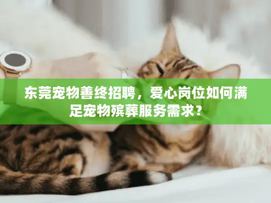 东莞宠物善终招聘，爱心岗位如何满足宠物殡葬服务需求？