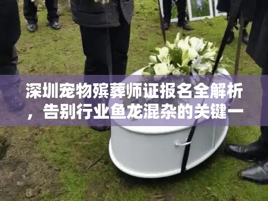 深圳宠物殡葬师证报名全解析，告别行业鱼龙混杂的关键一步