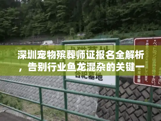 深圳宠物殡葬师证报名全解析，告别行业鱼龙混杂的关键一步