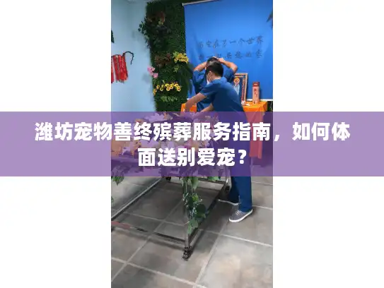 潍坊宠物善终殡葬服务指南，如何体面送别爱宠？