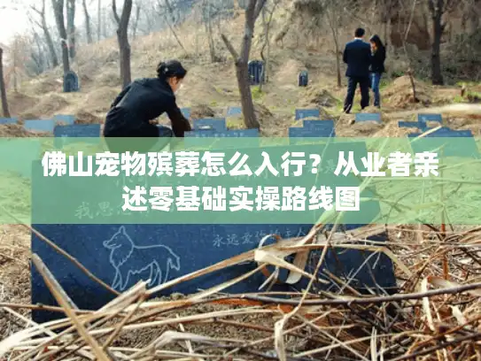 佛山宠物殡葬怎么入行？从业者亲述零基础实操路线图