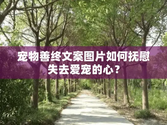 宠物善终文案图片如何抚慰失去爱宠的心？