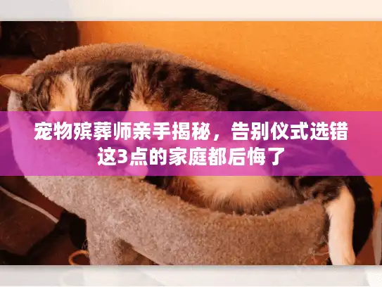 宠物殡葬师亲手揭秘，告别仪式选错这3点的家庭都后悔了