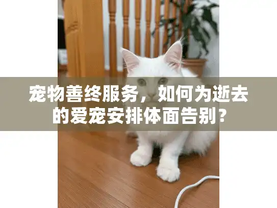 宠物善终服务，如何为逝去的爱宠安排体面告别？
